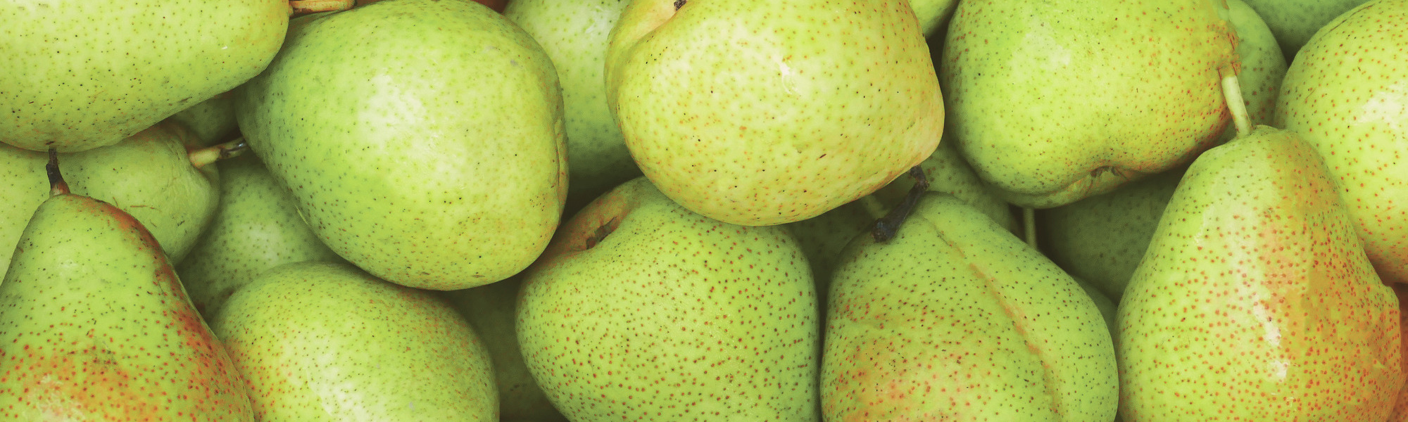 Gut Feelings & Green Magic: The Art of the Gentle Reset