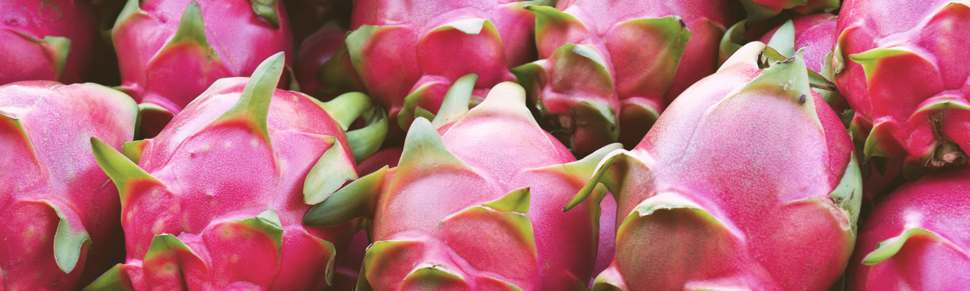 The Neon Glow-Up: Why Pitaya is Our Love Language